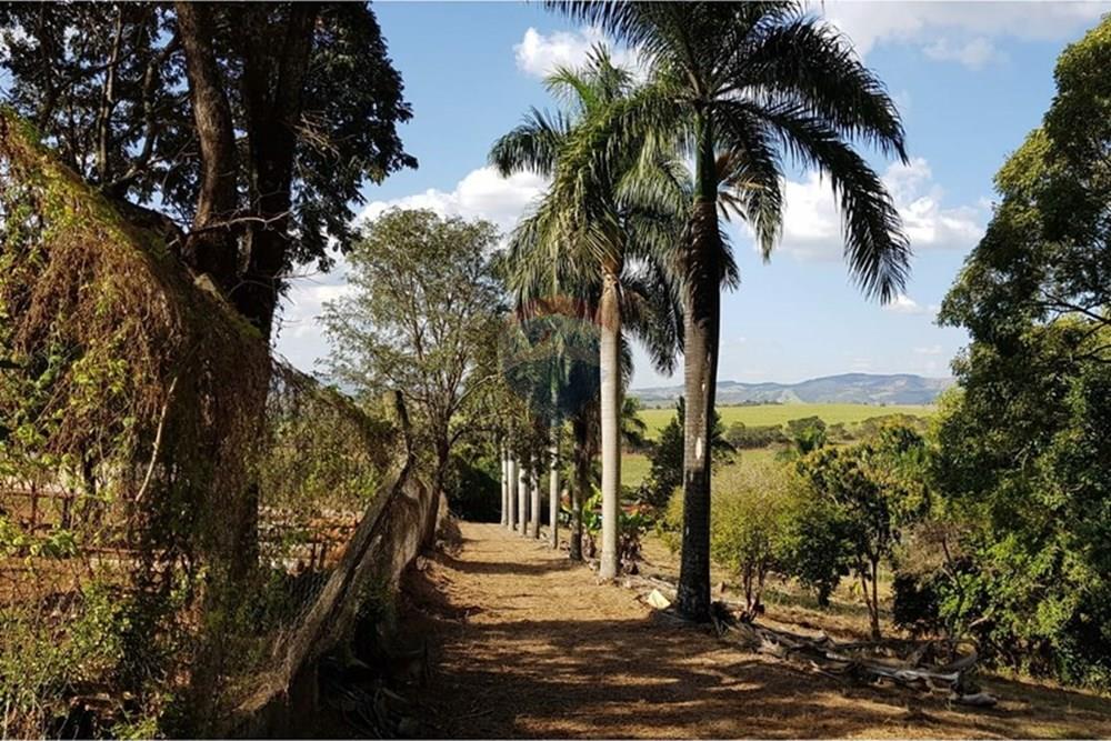 Chácara / Sítio / Fazenda - Venda - Itapira , São Paulo - Imagem do WhatsApp de 2025-02-04 à(s) 12.00.33_d21de50f.jpg - Quintal - 690291048-31