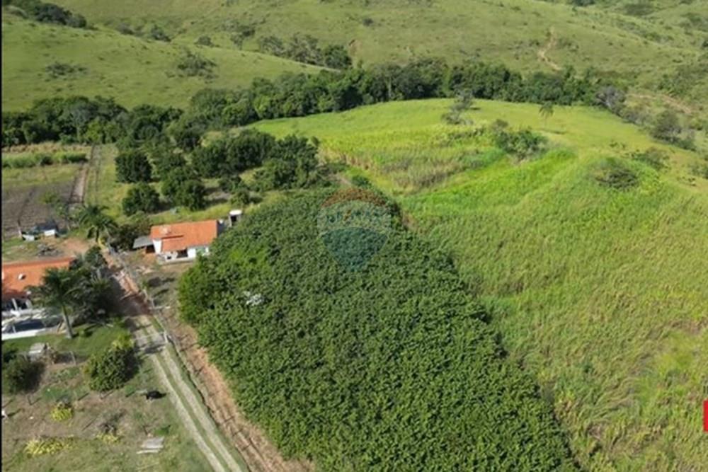 Chácara / Sítio / Fazenda - Venda - Itapira , São Paulo - IMG-20250713-WA0589.jpg - 690291077-251