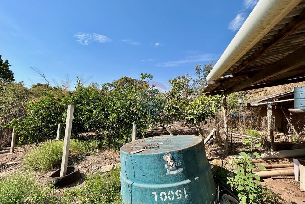 Terreno - Venda - Piracicaba , São Paulo - IMG_6458.JPG - 690781071-61