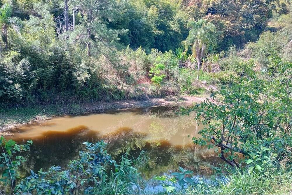 Chácara / Sítio / Fazenda - Venda - Serra Negra , São Paulo - WhatsApp Image 2025-01-14 at 18.09.45.jpeg - 690681090-34