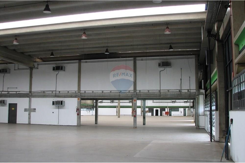 Galpão - Alugar - Campinas , São Paulo - L19.jpg - 690331002-218