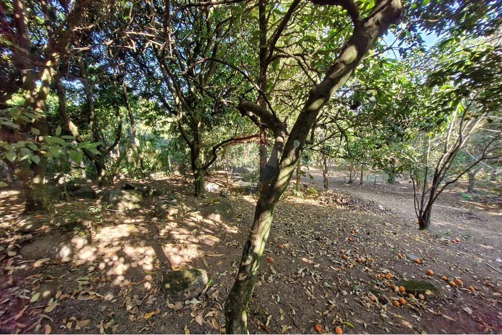 Rezidencijalno - Zemljište - Jaguariúna , Sao Paulo - BR - 20250814_151849.jpg - 690671008-326