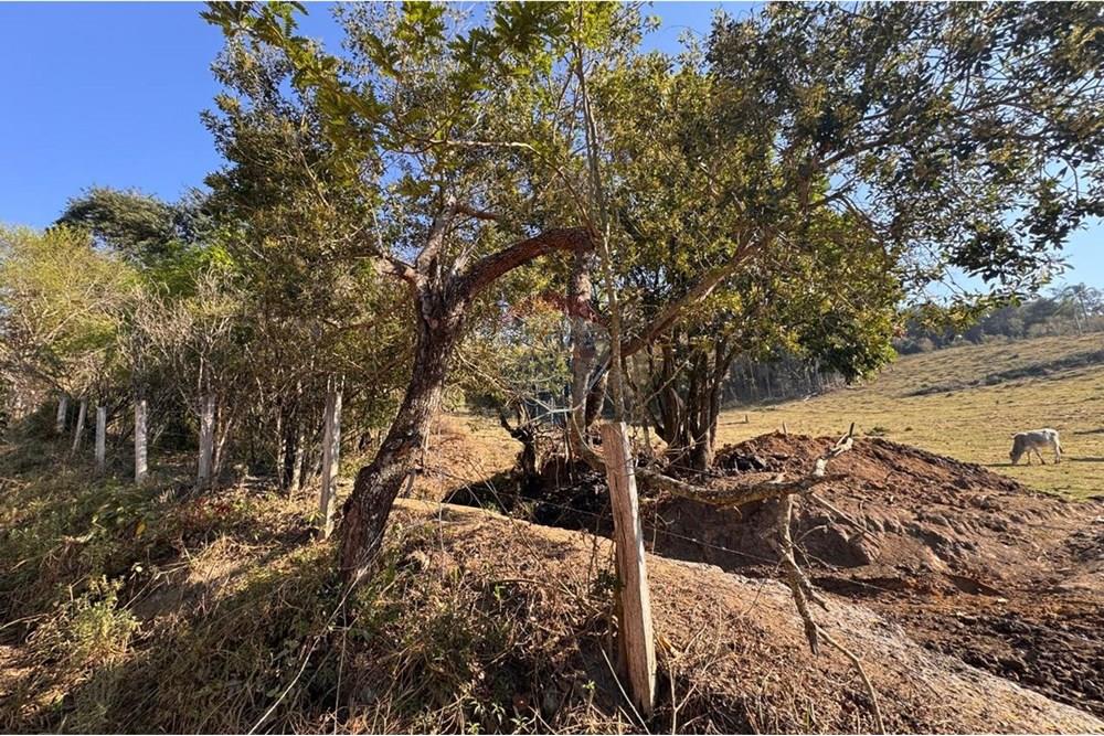 Terreno - Venda - Tuiuti , São Paulo - WhatsApp Image 2025-10-06 at 14.47.27 (4).jpeg - 690041052-114