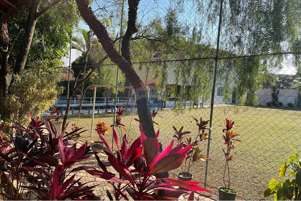 Chácara / Sítio / Fazenda - Venda - Cosmópolis , São Paulo - IMG_3222.JPG - 690831004-277