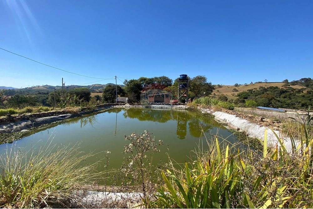 Chácara / Sítio / Fazenda - Venda - Monte Sião , Minas Gerais - WhatsApp Image 2025-07-18 at 18.06.47 (1).jpeg - Jardim Externo - 690291077-219