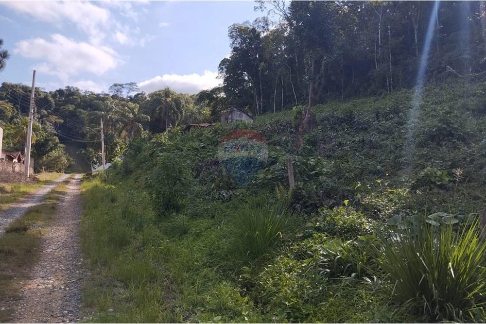 Terreno - Venda - Registro , São Paulo - WhatsApp Image 2025-05-05 at 14.27.10.jpeg - 690061038-4