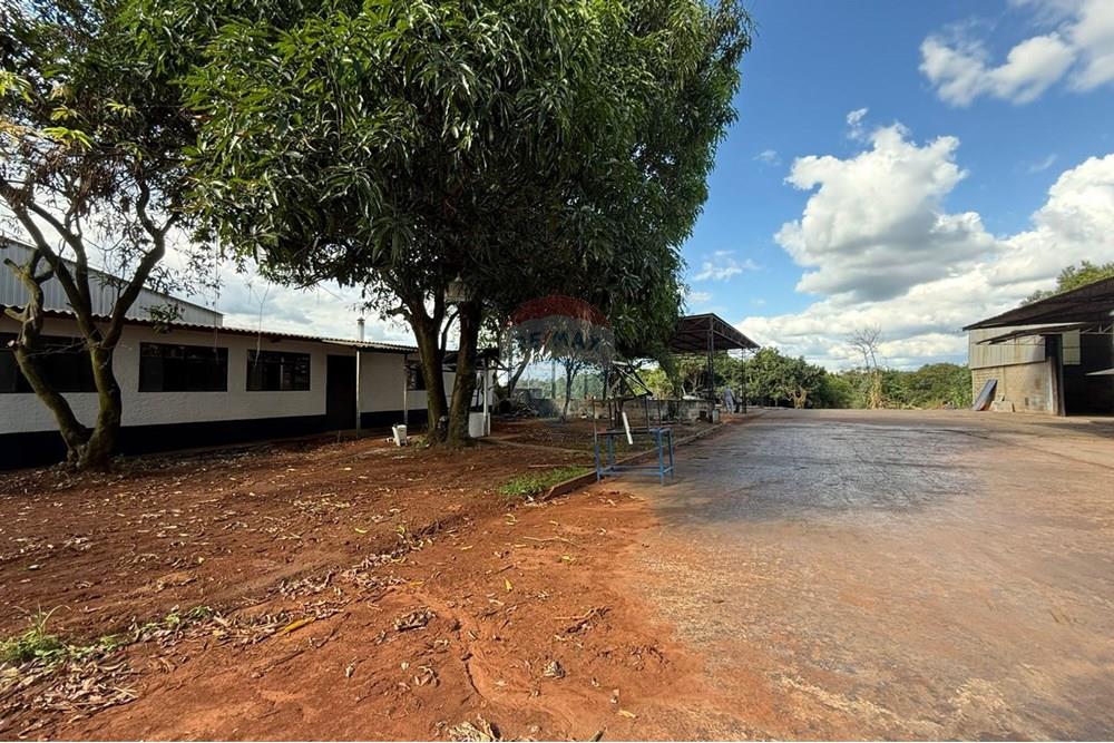 Industrial - Alugar - Mogi Mirim , São Paulo - WhatsApp Image 2025-05-13 at 15.29.58 (3).jpeg - 690281011-305