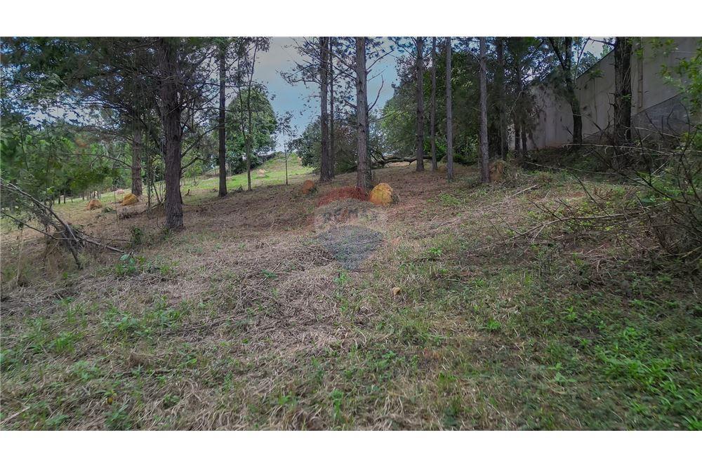 Terreno - Venda - Valinhos , São Paulo - 19 - 691091001-208