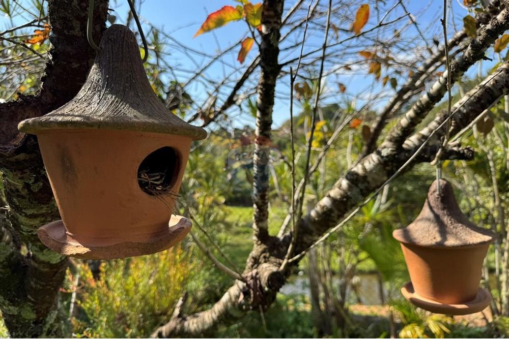 Chácara / Sítio / Fazenda - Venda - Jarinu , São Paulo - u.JPEG - 691121003-24