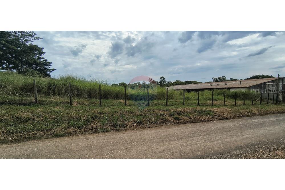 Terreno - Alugar - Piracicaba , São Paulo - IMG_20250415_140255504_HDR.jpg - 690781071-58