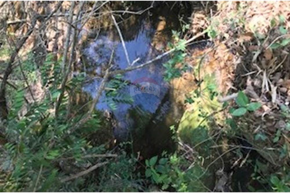 Terreno - Venda - Lindóia , São Paulo - IMG_6925.jpg - 690291056-15