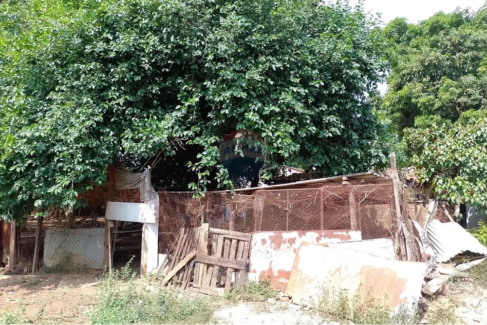 Terreno - Venda - Cosmópolis , São Paulo - fachada (9).jpg - Jardim Interno - 690831047-354