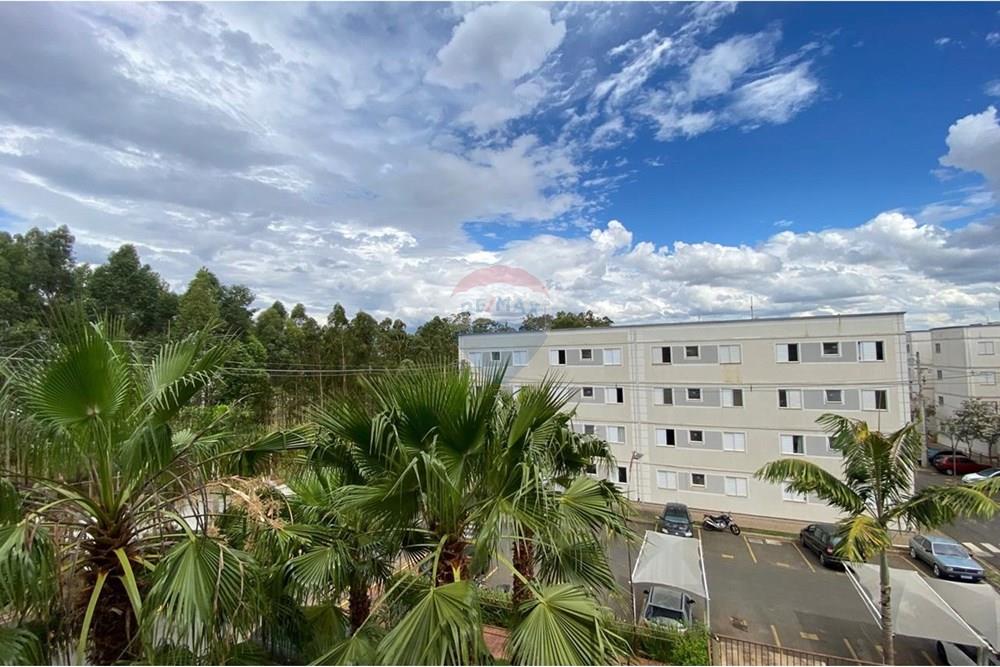 Apartamento - Venda - Piracicaba , São Paulo - 96fccf08-0d02-4c68-9a54-8e3f654ea5ce.jpg - 690781105-60