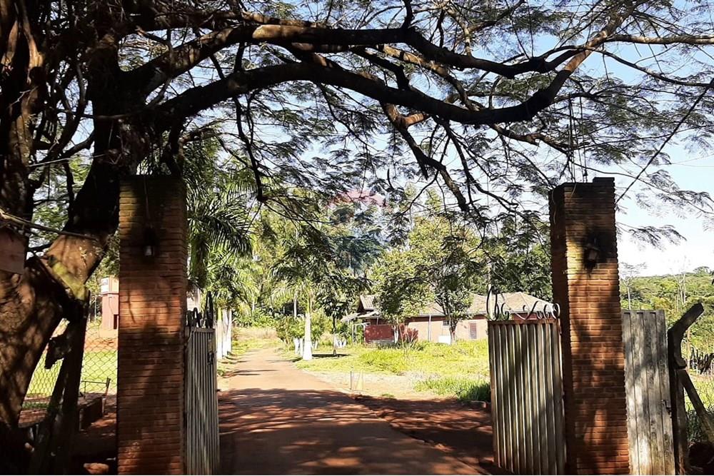 Restaurante - Alugar - Mogi Mirim , São Paulo - IMG-20250202-WA0130.jpg - 690751034-73