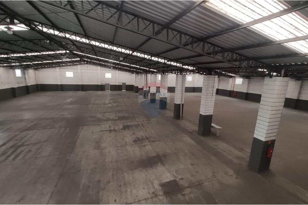 Galpão - Alugar - Atibaia , São Paulo - IMG-20250822-WA0264.jpg - 690471100-183