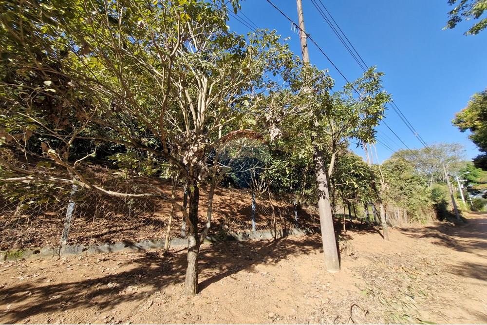 Terreno - Venda - Jaguariúna , São Paulo - 20250814_152146.jpg - 690671008-325