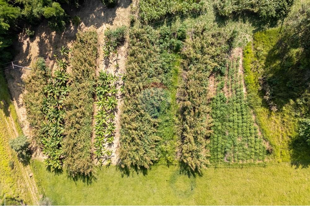 Chácara / Sítio / Fazenda - Venda - Itatiba , São Paulo - TKD-6926.jpg - 690661013-235