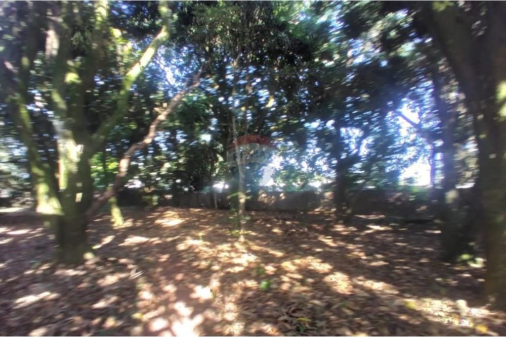 Chácara / Sítio / Fazenda - Venda - Mogi Mirim , São Paulo - Foto sr Mario 12.jpeg - 690751061-28