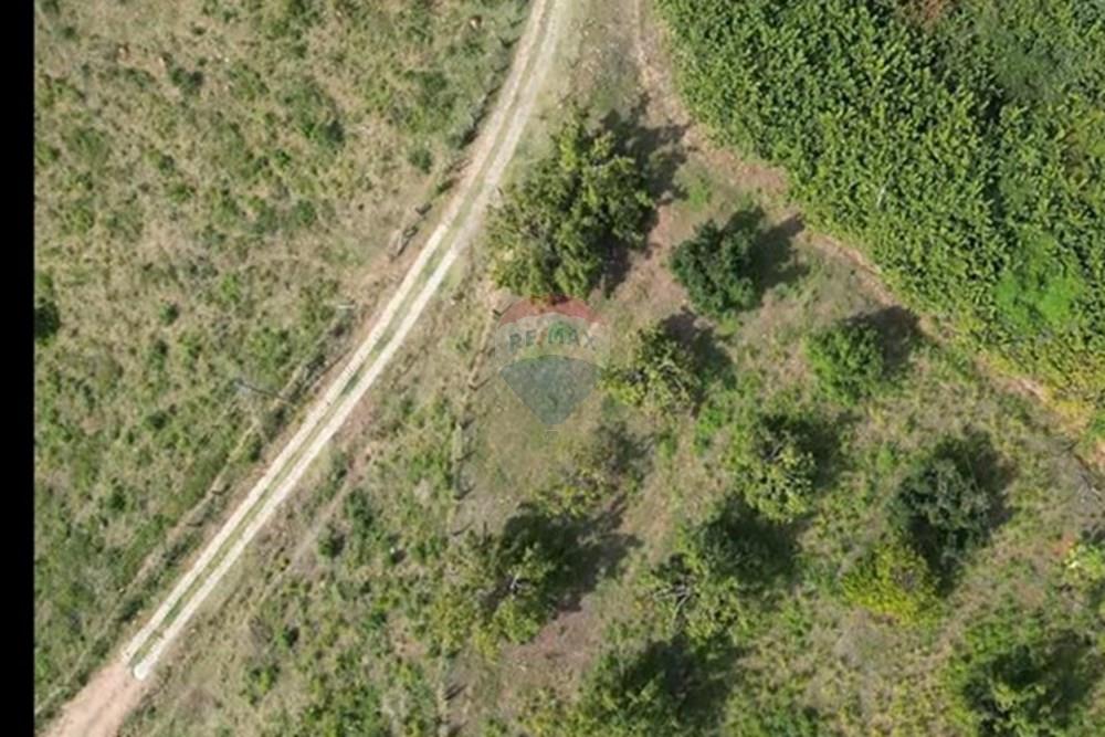 Chácara / Sítio / Fazenda - Venda - Itapira , São Paulo - IMG-20250713-WA0600.jpg - 690291077-251