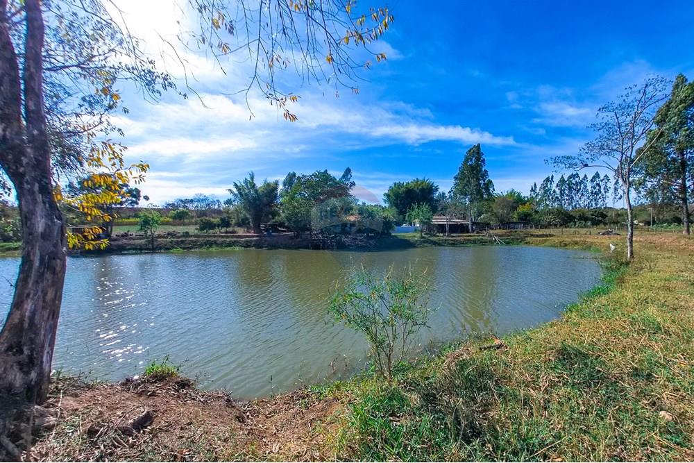 Chácara / Sítio / Fazenda - Venda - Santa Cruz da Conceição , São Paulo - Tratada-24.jpg - 690481001-177