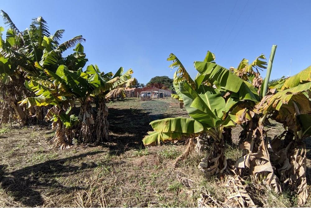 Terreno - Venda - Mogi Guaçu , São Paulo - 10.jpeg - 690521018-187