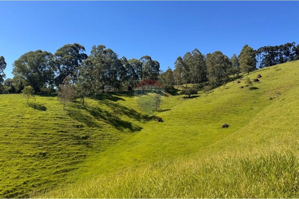 Chácara / Sítio / Fazenda - Venda - Joanópolis , São Paulo - photo_5019343269280201165_y.jpg - 690041001-120