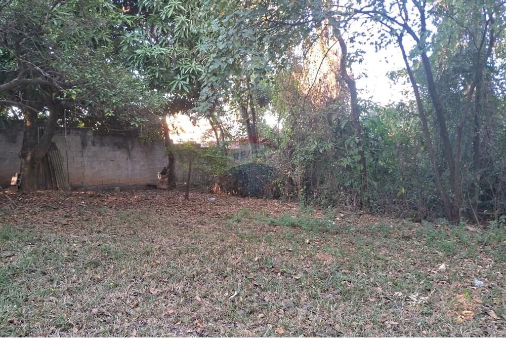 Chácara / Sítio / Fazenda - Venda - Mogi Mirim , São Paulo - chacara paola 21.jpeg - 690751036-62