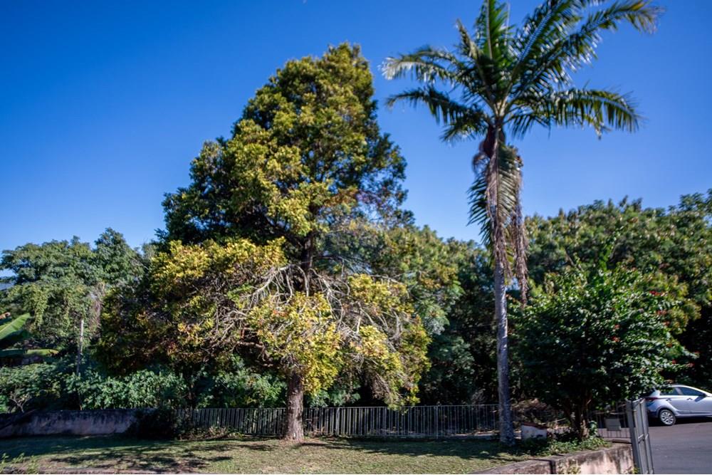 Casa - Venda - Atibaia , São Paulo - DSC06769.jpg - Quintal - 690471003-102