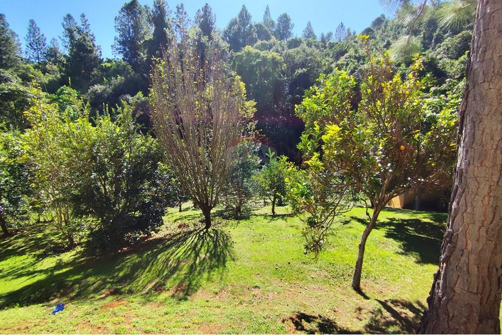 Casa - Venda - Águas de Lindóia , São Paulo - 1747830098721.jpg - 690291077-221