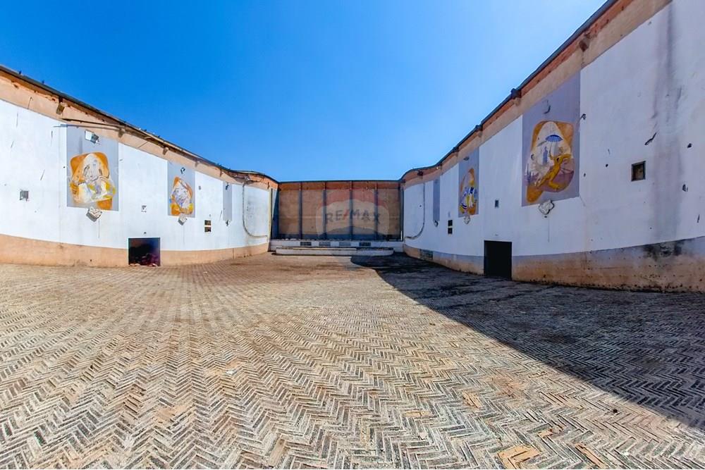 Ponto Comercial/ Loja - Venda - Leme , São Paulo - Tratada-7.jpg - 690691017-82