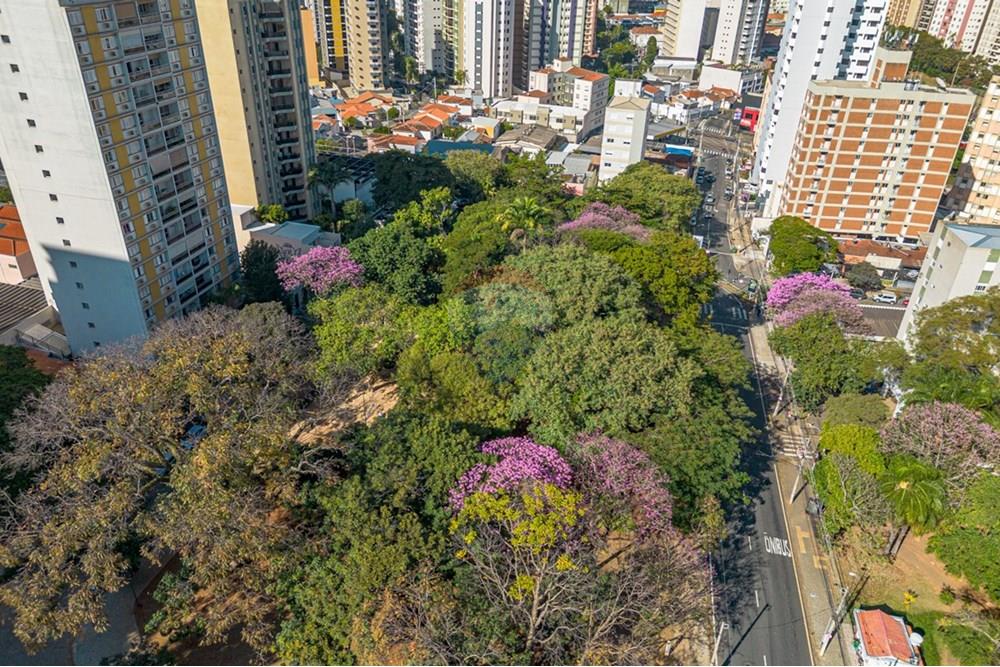 Studio - Venda - Campinas , São Paulo - 1752623346028-01fotos_013.jpeg - Jardim Interno - 690131036-34