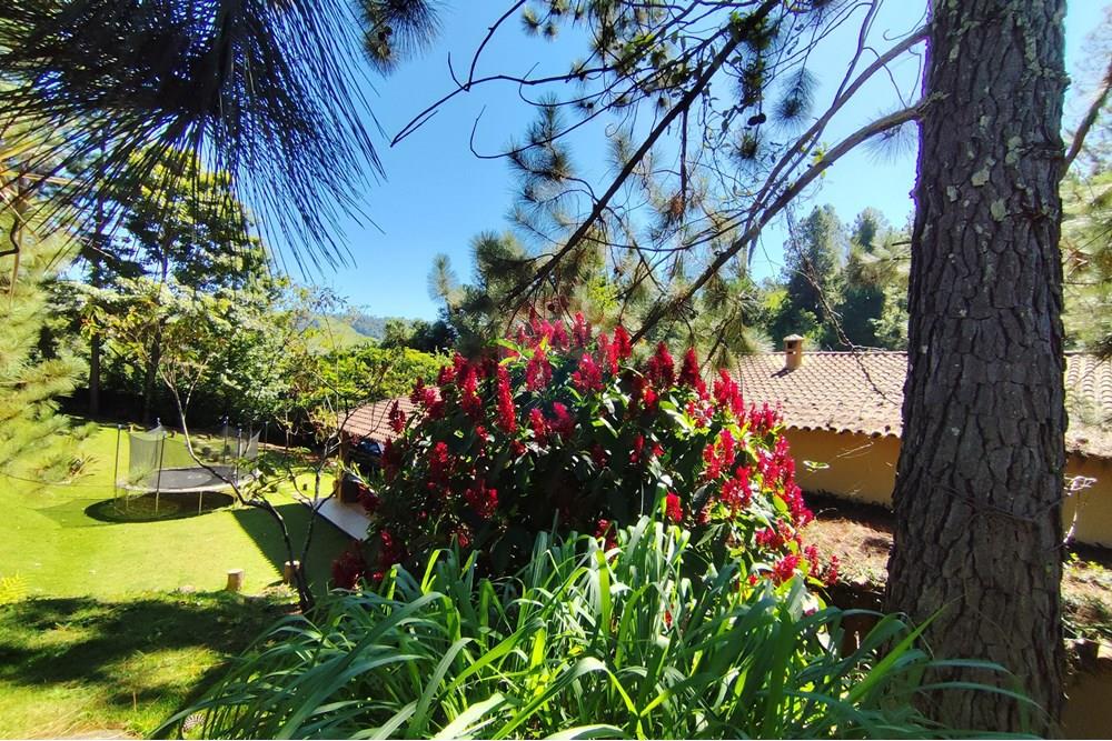 Casa - Venda - Águas de Lindóia , São Paulo - 1747830098617.jpg - 690291077-221