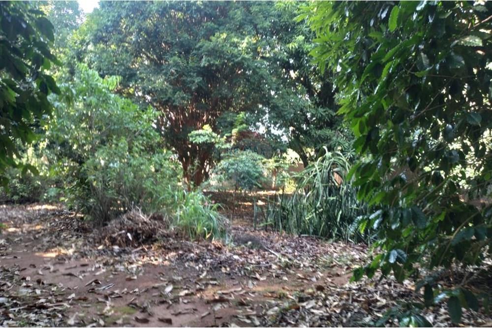 Chácara / Sítio / Fazenda - Venda - Mogi Mirim , São Paulo - Foto sr Mario 16.jpeg - 690751061-28