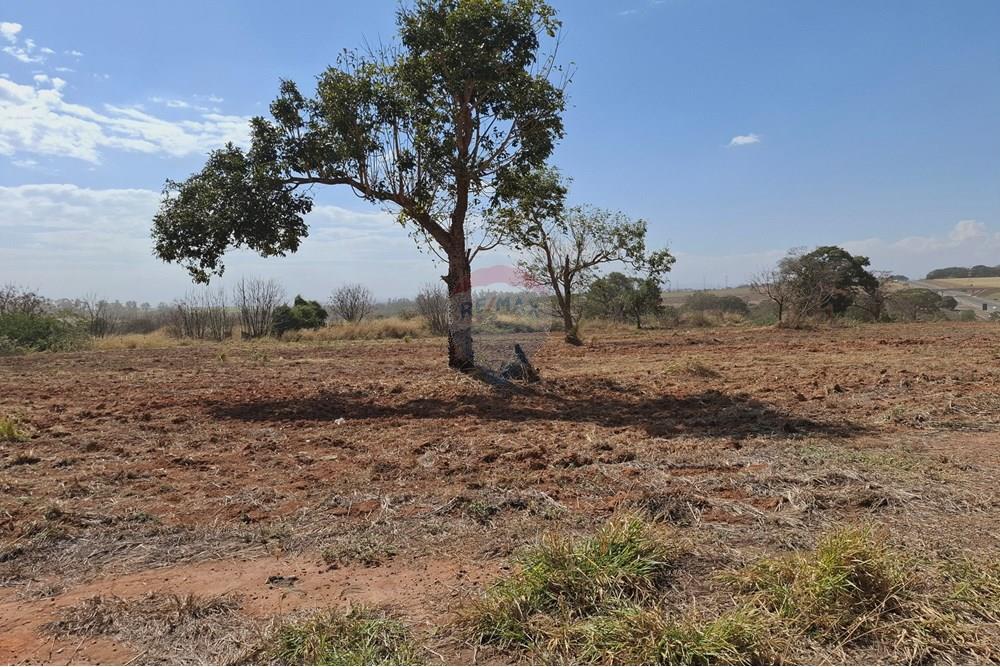 Terreno - Venda - Mogi Mirim , São Paulo - 20250808_120431.jpg - 690681090-43