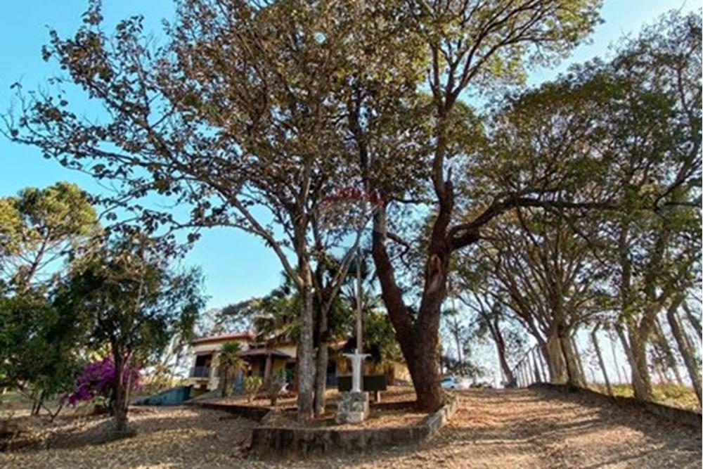 Chácara / Sítio / Fazenda - Venda - Itapira , São Paulo - Imagem do WhatsApp de 2025-02-04 à(s) 12.00.36_53e95b18.jpg - Quintal - 690291048-31