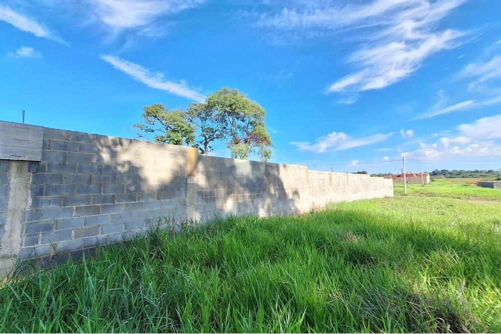 Terreno - Alugar - Mogi Mirim , São Paulo - IMG-20241208-WA0057.jpg - 690751048-95