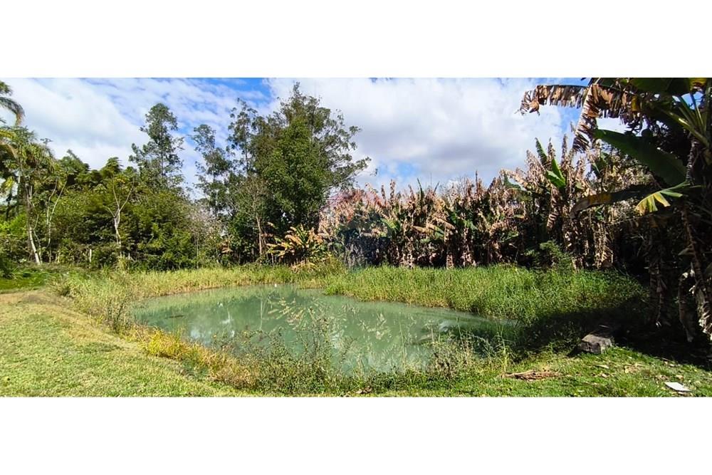 Chácara / Sítio / Fazenda - Venda - Mogi Guaçu , São Paulo - 41.jpeg - 690521018-208