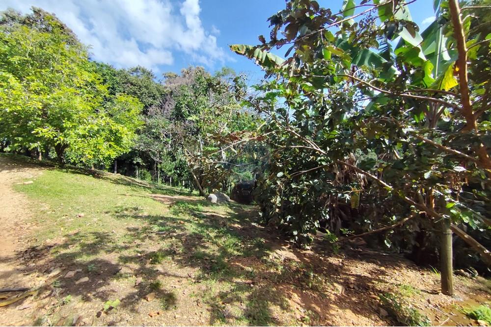 Chácara / Sítio / Fazenda - Venda - Itapira , São Paulo - 1751510168907.jpg - 690291077-251