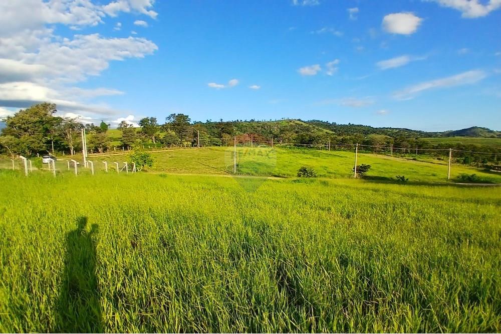 Chácara / Sítio / Fazenda - Venda - Itapira , São Paulo - WhatsApp Image 2025-04-08 at 15.05.00 (1).jpeg - 690291039-39