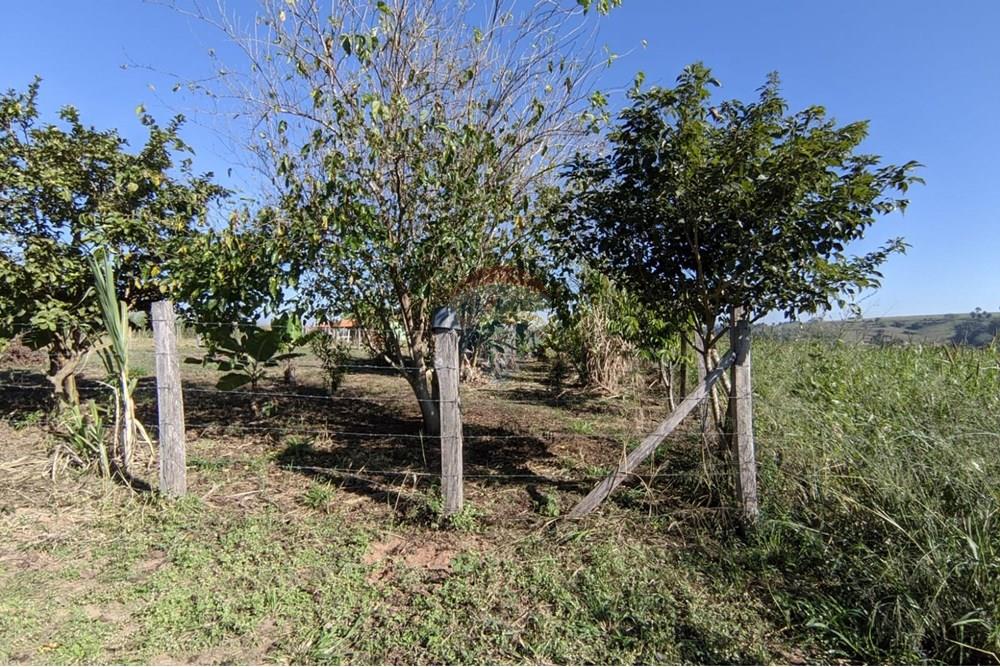 Terreno - Venda - Mogi Guaçu , São Paulo - 23.jpeg - 690521018-187