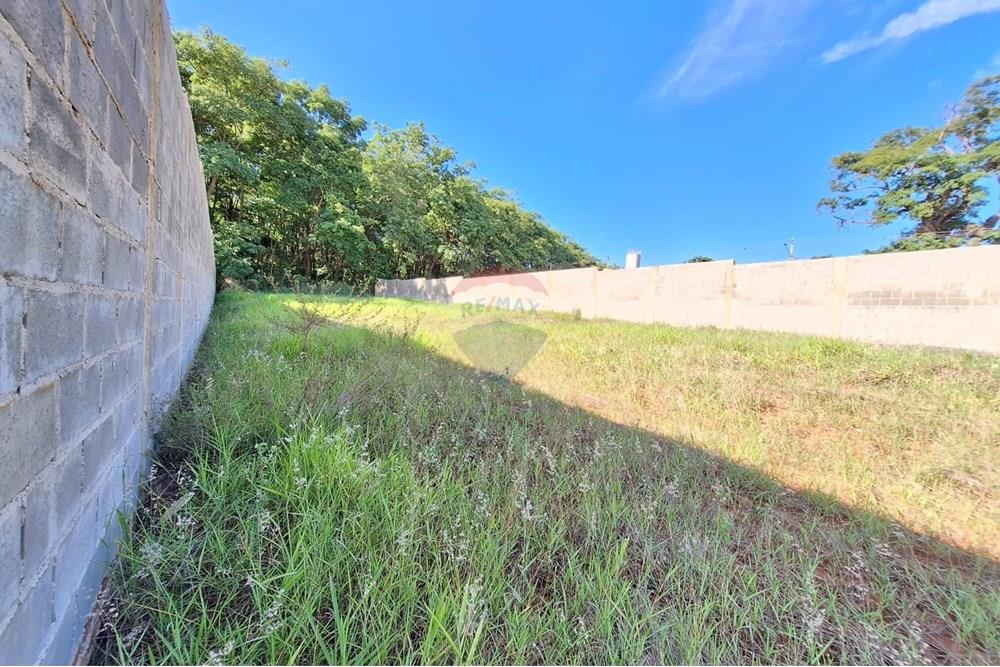 Terreno - Alugar - Mogi Mirim , São Paulo - IMG-20241208-WA0063.jpg - 690751048-95