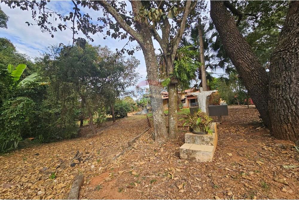 Chácara / Sítio / Fazenda - Venda - Itapira , São Paulo - photo_2025-06-17_17-53-00.jpg - Quintal - 690291048-31