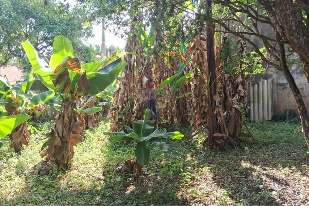 Terreno - Venda - Mogi Mirim , São Paulo - terr 11.jpeg - 690751036-49