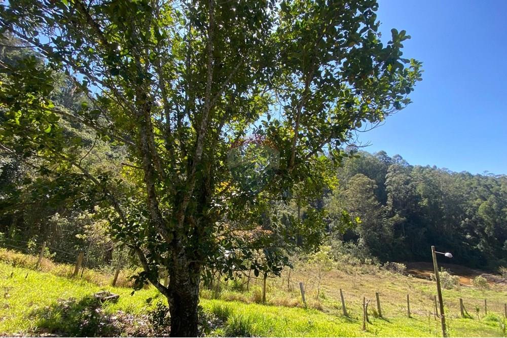 Chácara / Sítio / Fazenda - Venda - Joanópolis , São Paulo - b65c0838-4649-4d1c-bc7a-ecf592d2f42c.jpeg - 690041107-19