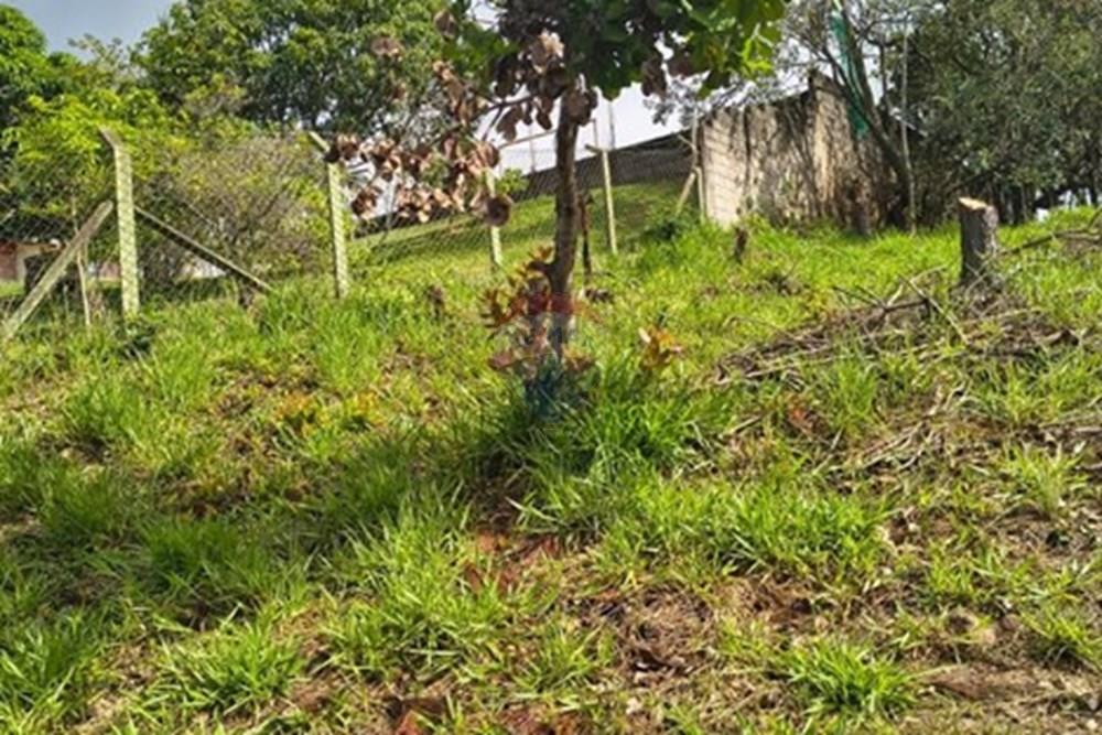Terreno - Venda - Jarinu , São Paulo - WhatsApp Image 2025-05-04 at 10.41.25.jpeg - 690661027-110