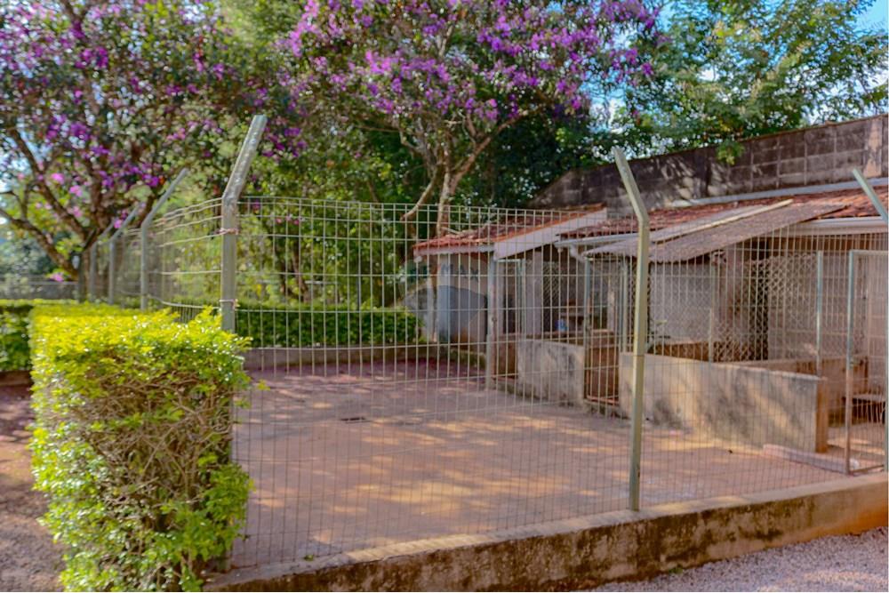 Chácara / Sítio / Fazenda - Venda - Atibaia , São Paulo - RINF-025[1].jpg - 690921117-1