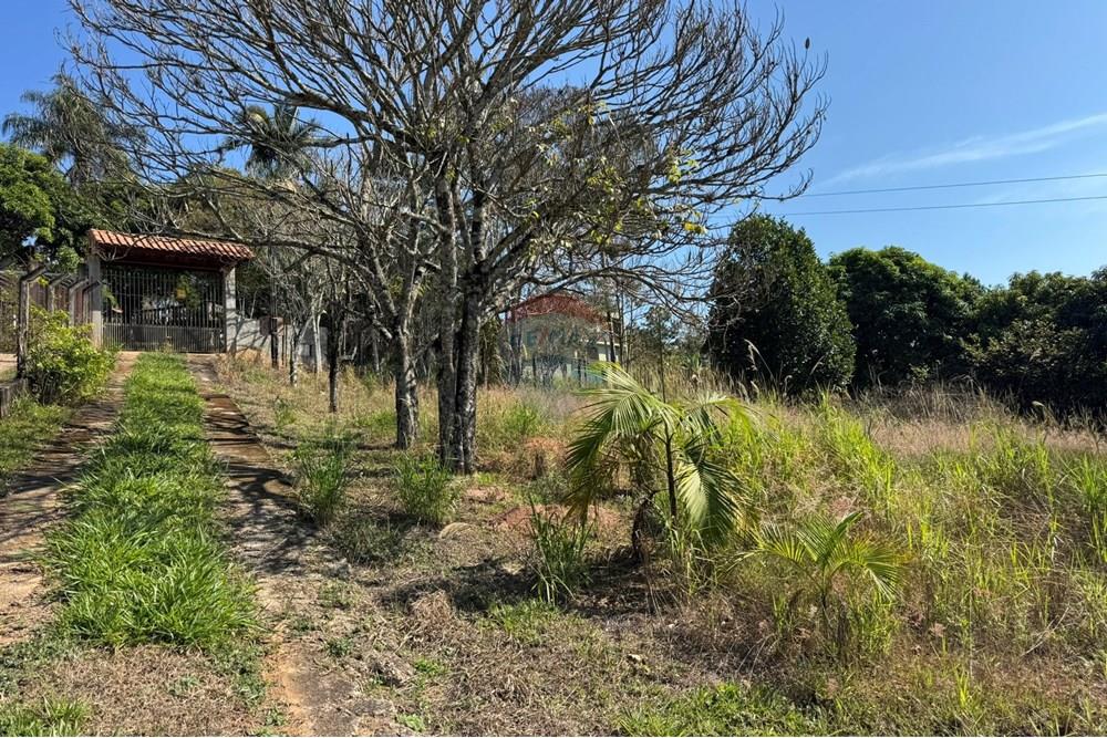 Chácara / Sítio / Fazenda - Venda - Jarinu , São Paulo - z27.JPEG - 691121003-24