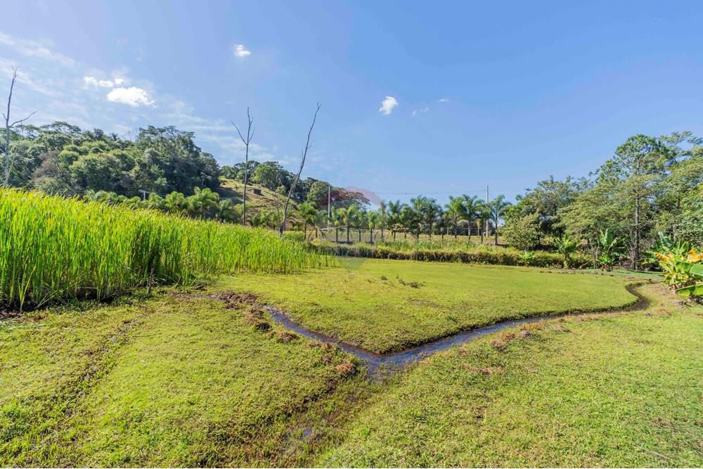 Chácara / Sítio / Fazenda - Venda - Itatiba , São Paulo - foto imobiliarias- brmaker00-363.jpg - 690661026-143