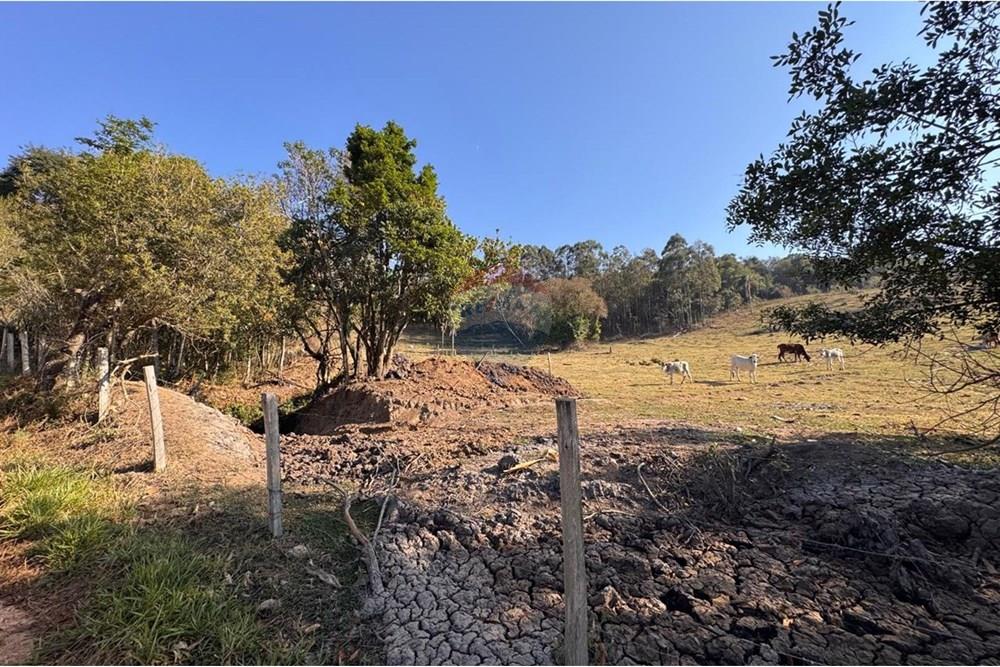 Terreno - Venda - Tuiuti , São Paulo - WhatsApp Image 2025-10-06 at 14.47.27.jpeg - 690041052-114