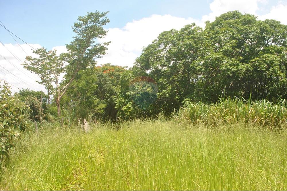 Chácara / Sítio / Fazenda - Alugar - Jaguariúna , São Paulo - DSC_0064.JPG - 690671057-4